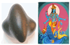 Matsya Shaligram Shilas Mstsya Shaligram